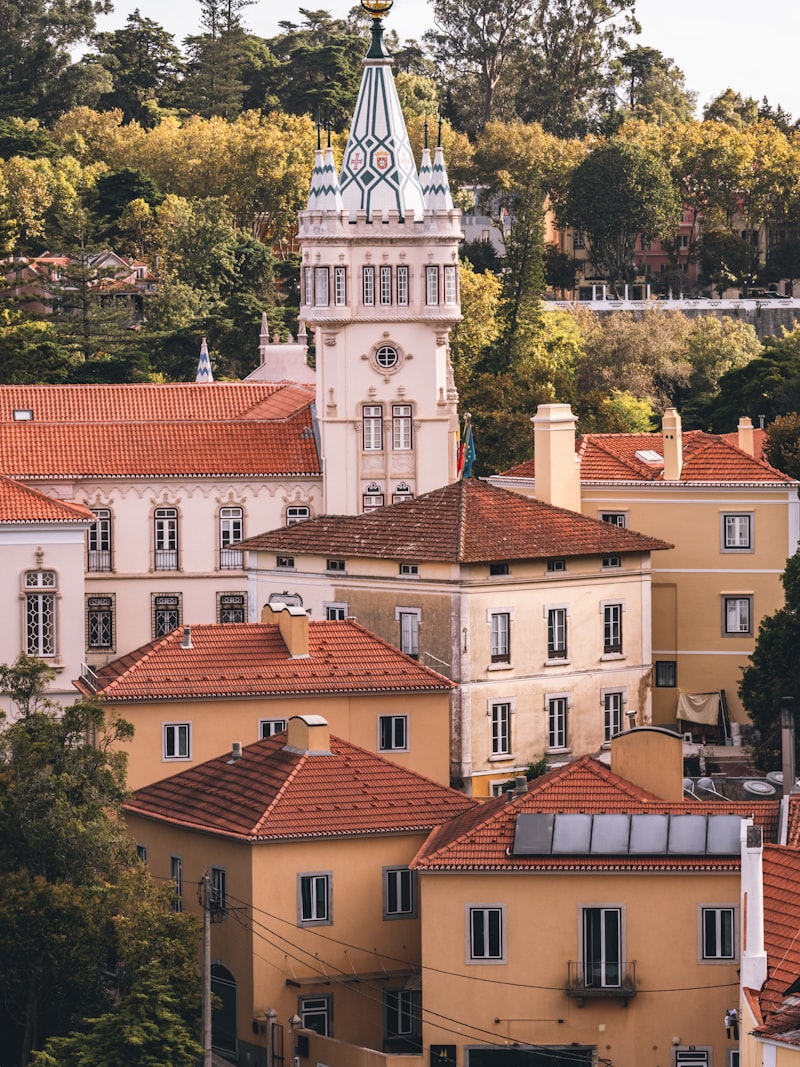 European rooftops stretching across a city